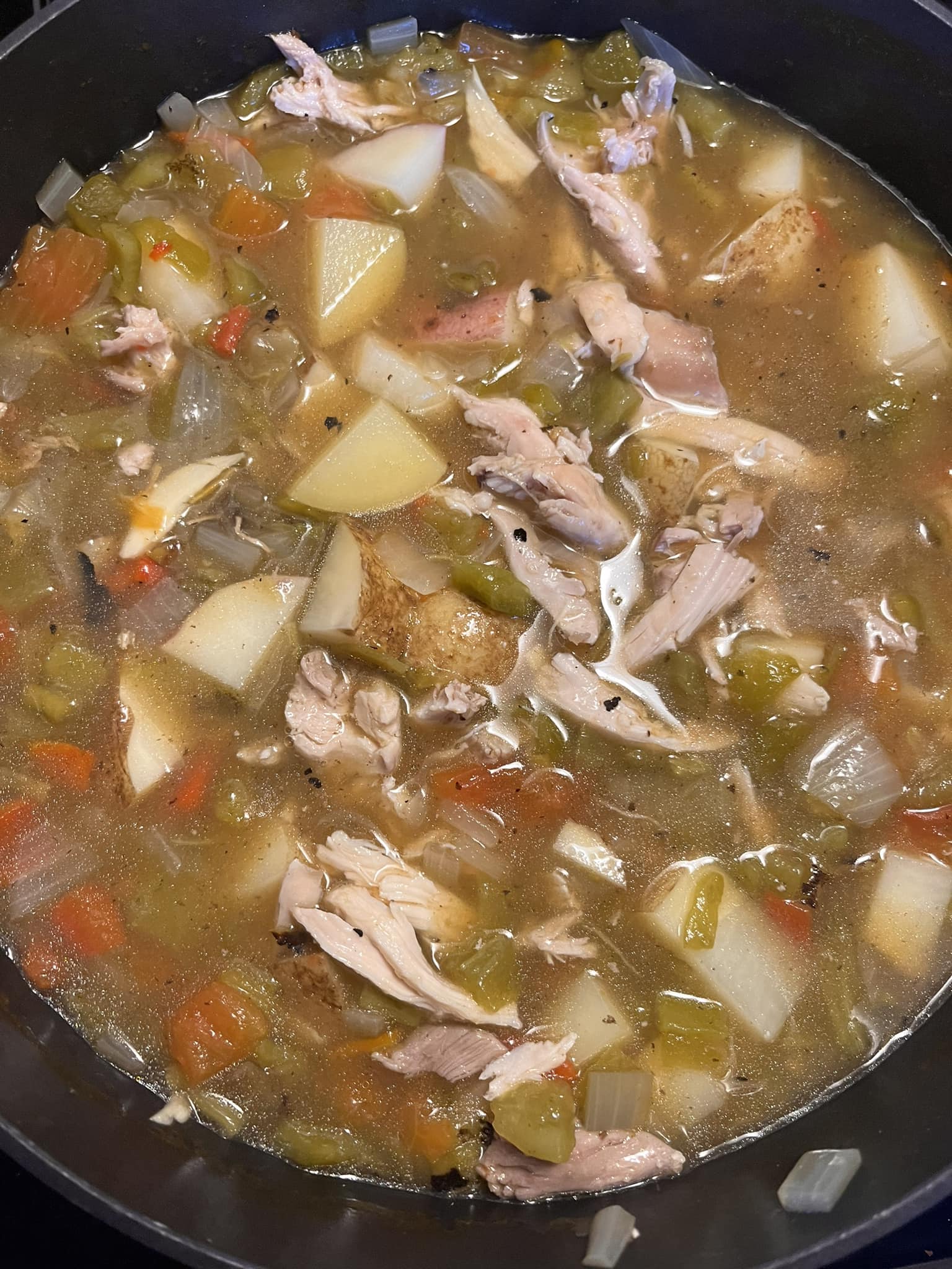 Green Chile Chicken Stew Easy DIY Recipes
